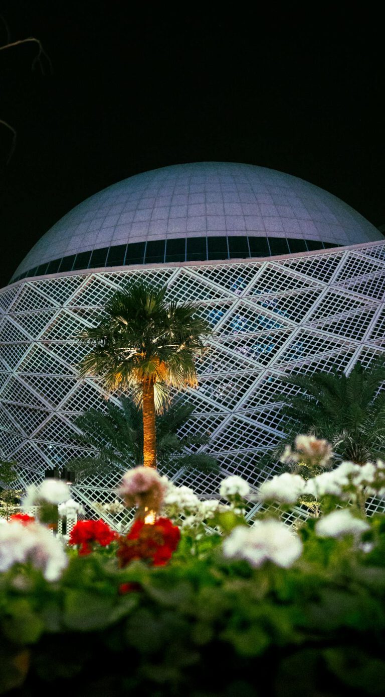 A striking architectural dome with palms and flowers at night.