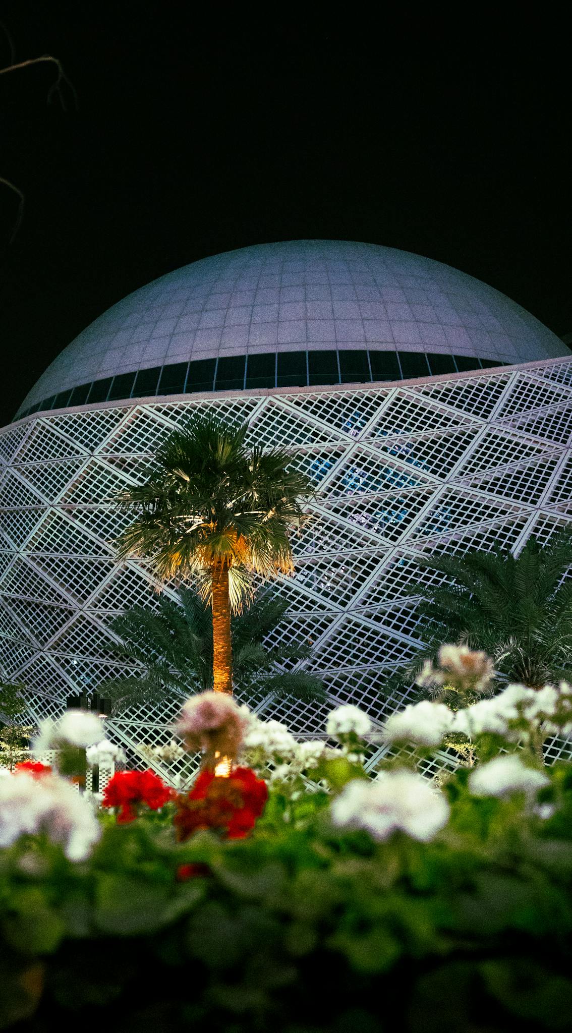 A striking architectural dome with palms and flowers at night.