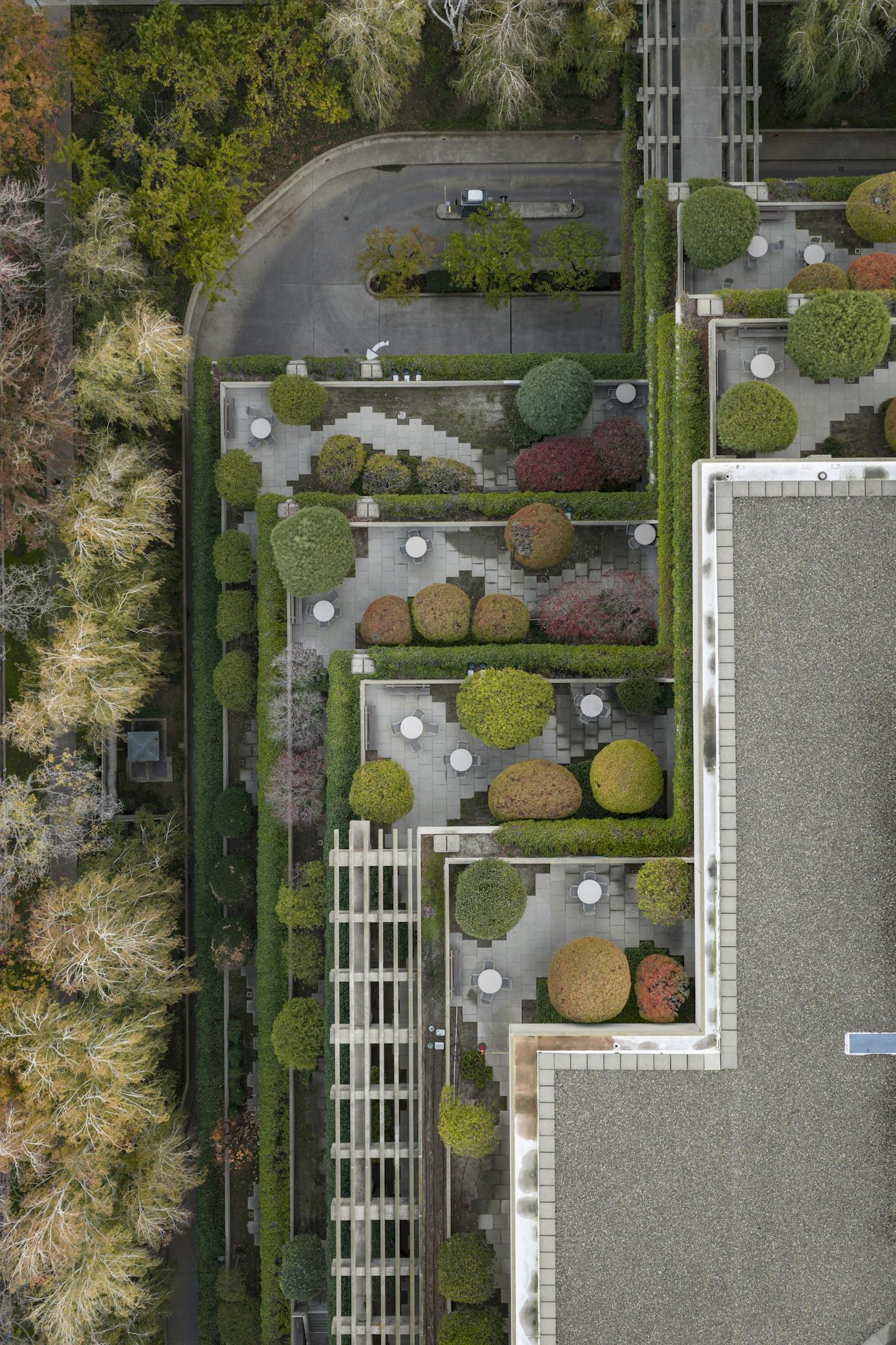 Aerial shot of a structured urban garden with colorful trees and pathways.