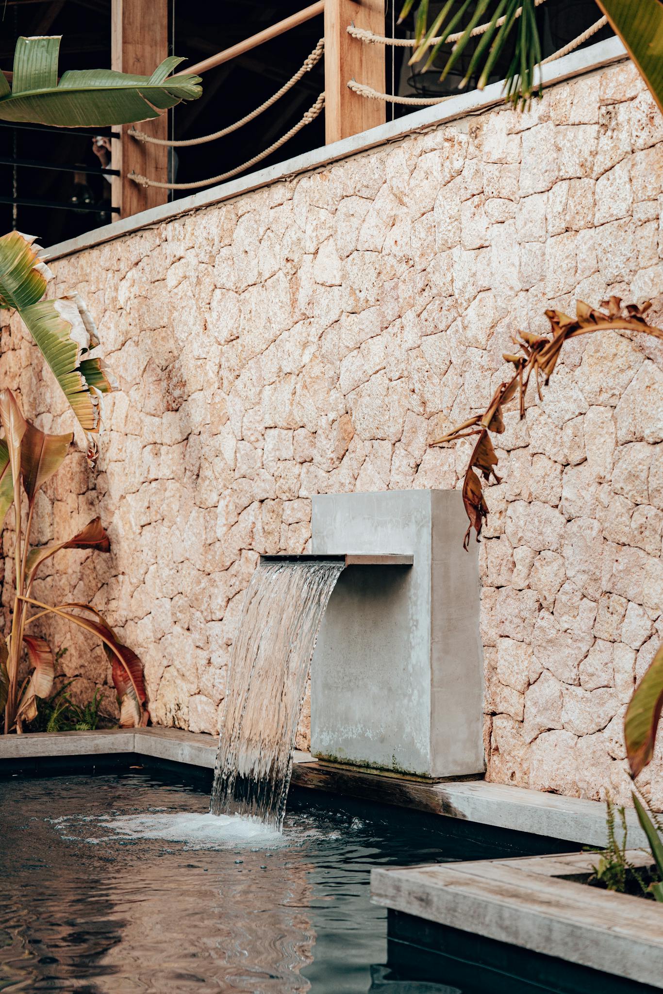 Vertical shot of a contemporary garden with water fountain and tropical plants.